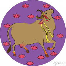 Cow Dung Dhoop/Agarbatti